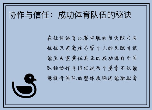 协作与信任：成功体育队伍的秘诀