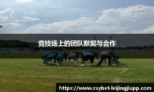 雷竞技