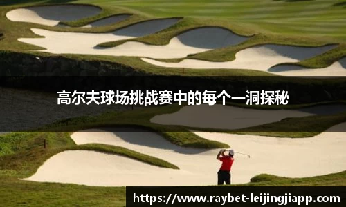 雷竞技官网