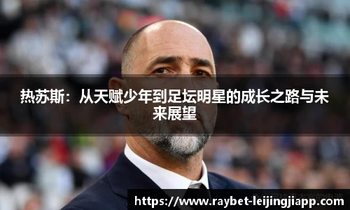 雷竞技官网
